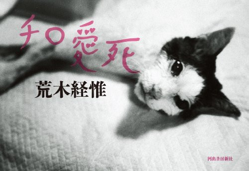 Nobuyoshi Araki Cat (Japanese Edition)