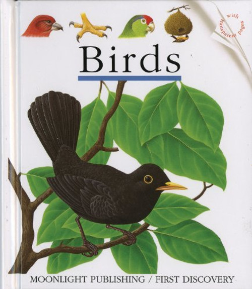 Birds (First Discovery Series)