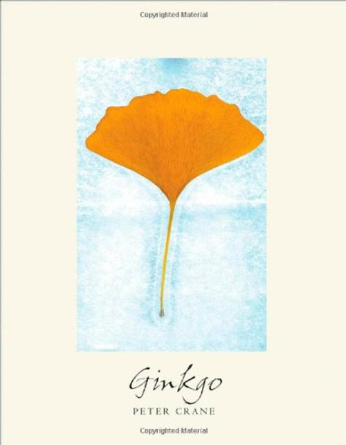 Ginkgo: The Tree That Time Forgot