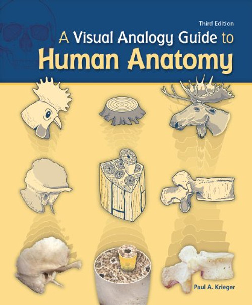 A Visual Analogy Guide to Human Anatomy