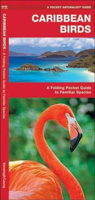 Caribbean Birds: A Folding Pocket Guide to Familiar Species (A Pocket Naturalist Guide)