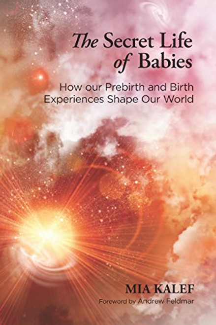 The Secret Life of Babies: How Our Prebirth and Birth Experiences Shape Our World