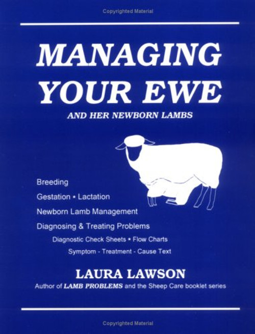 Managing Your Ewe and Her Newborn Lambs