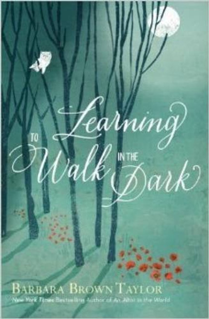 Learning to Walk in the Dark: Because God Often Shows Up at Night