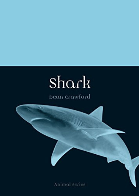 Shark (Animal)