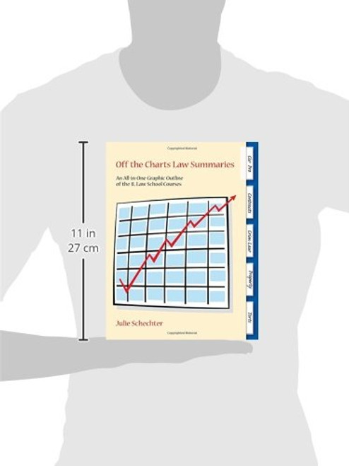 Off the Charts Law Summaries: An All-In-One Graphic Outline of the 1L Law School Courses