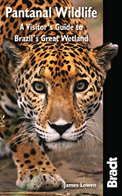 Pantanal Wildlife: A Visitor's Guide To Brazil's Great Wetland (Bradt Wildlife Guides)