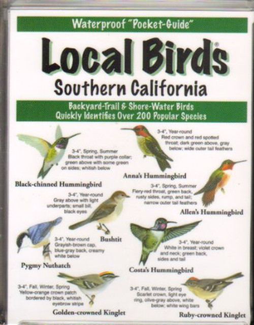 Local Birds Southern California