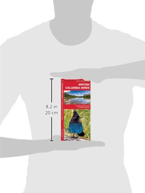 British Columbia Birds: A Folding Pocket Guide to Familiar Species (A Pocket Naturalist Guide)