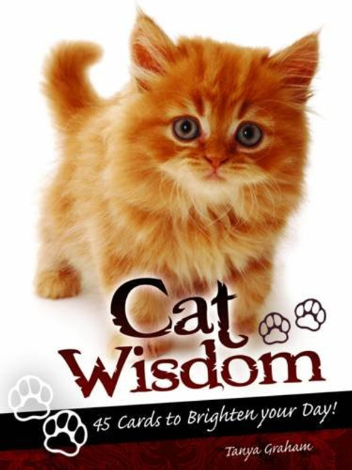 Cat Wisdom Cards