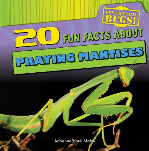 20 Fun Facts About Praying Mantises (Fun Fact File:Bugs!)