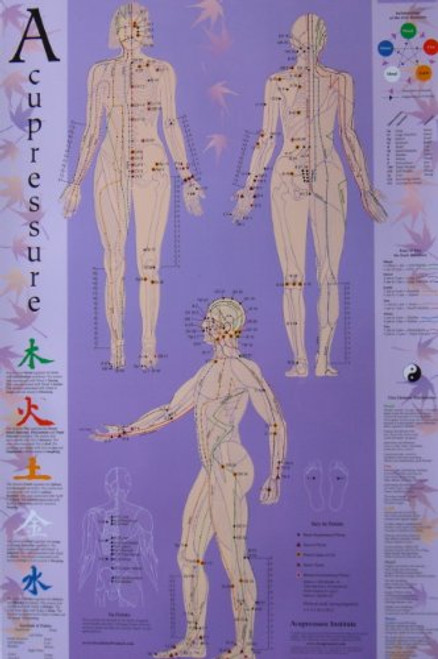 Acupressure Chart - Points & Meridians