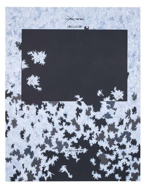 Jenny Holzer: Dust Paintings