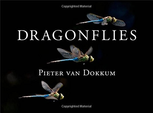 Dragonflies: Magnificent Creatures of Water, Air, and Land