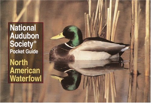 National Audubon Society Pocket Guide: North American Waterfowl (National Audubon Society Pocket Guides)