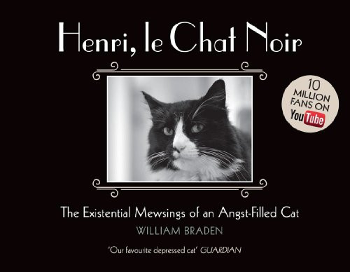 Henri, le Chat Noir