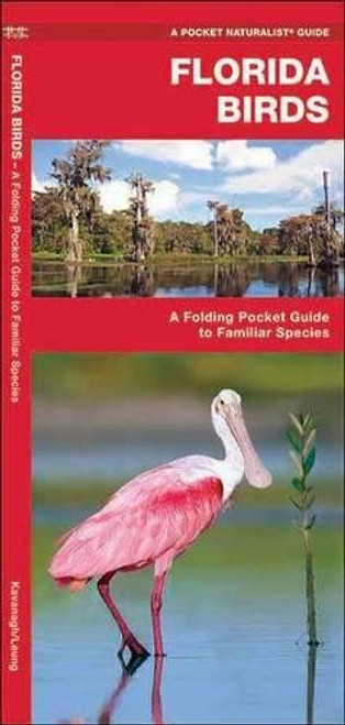 Florida Birds: A Folding Pocket Guide to Familiar Species (A Pocket Naturalist Guide)