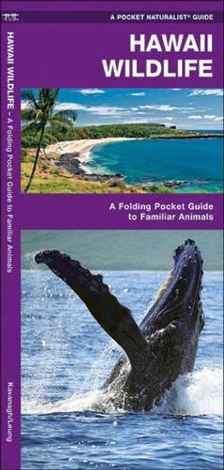 Hawaii Wildlife: A Folding Pocket Guide to Familiar Species (A Pocket Naturalist Guide)