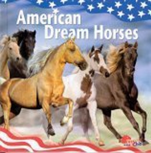 American Dream Horses