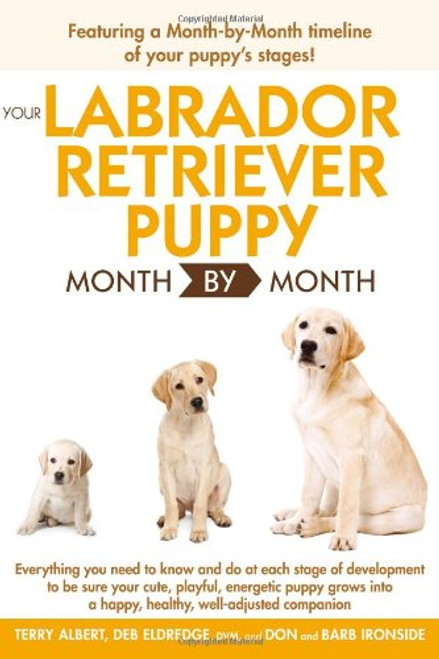 Your Labrador Retriever Puppy Month By Month