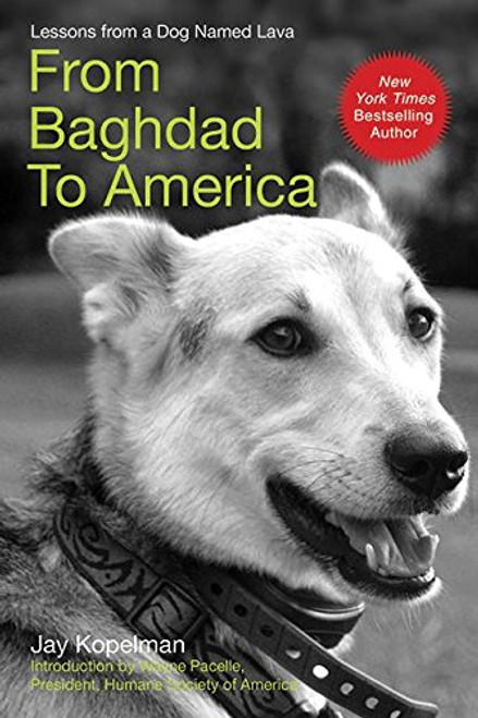 From Baghdad to America: Life after War for a Marine and His Rescued Dog