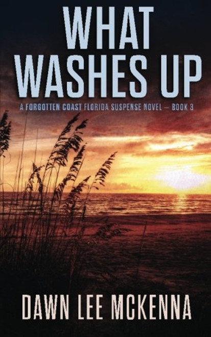 What Washes Up (The Forgotten Coast Florida Suspense Series) (Volume 3)