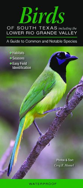 Birds of South Texas incl. the Lower Rio Grande Valley: A Guide to Common & Notable Species (Quick Reference Guides)