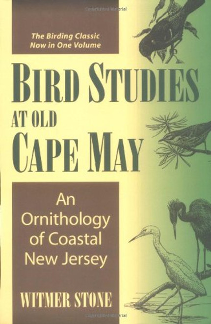 Bird Studies at Old Cape May