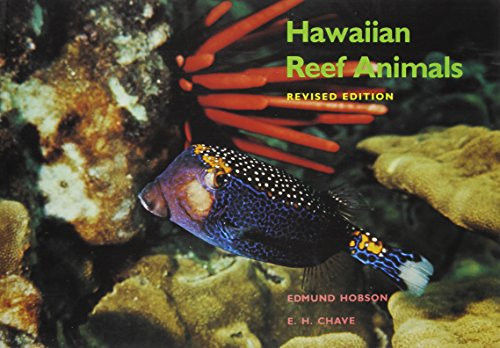 Hawaiian Reef Animals