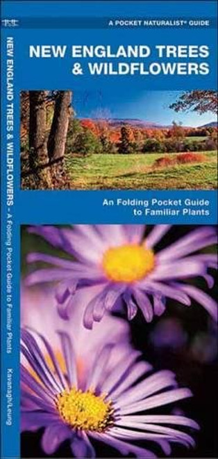 New England Trees & Wildflowers: A Folding Pocket Guide to Familiar Species (A Pocket Naturalist Guide)
