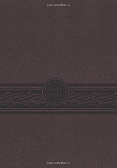 MEV Bible Personal Size Large Print Cherry Brown Indexed: Modern English Version