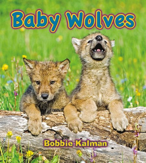 Baby Wolves (It's Fun to Learn About Baby Animals)