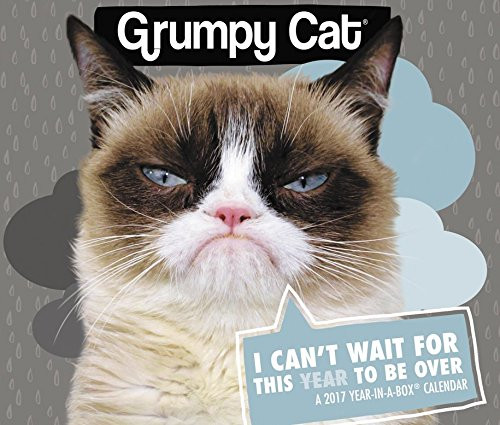 Grumpy Cat Year-In-A-Box Calendar (2017)