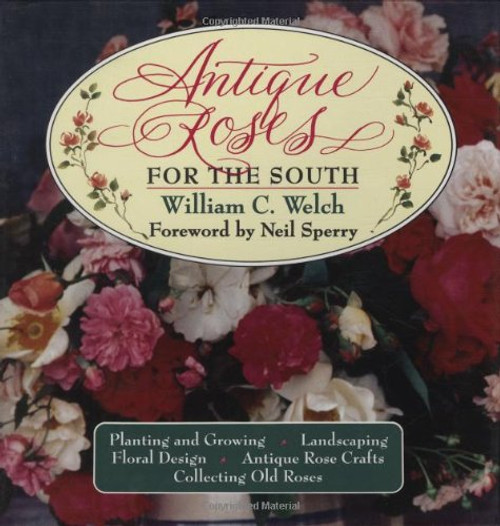 Antique Roses for the South