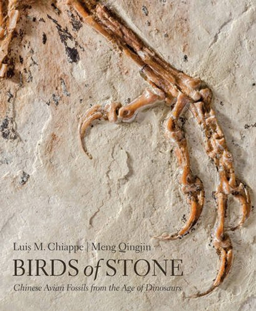 Birds of Stone: Chinese Avian Fossils from the Age of Dinosaurs