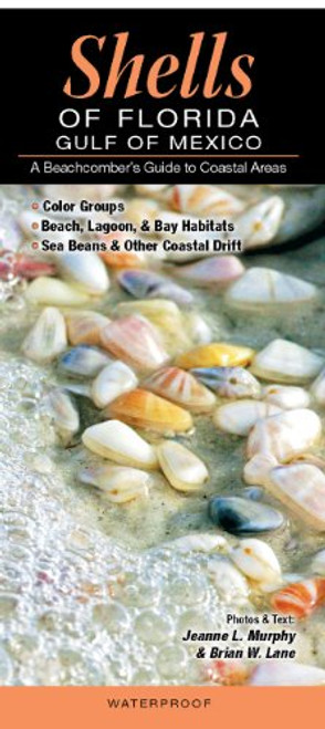 Shells of Florida-Gulf of Mexico: A Beachcombers Guide to Coastal Areas