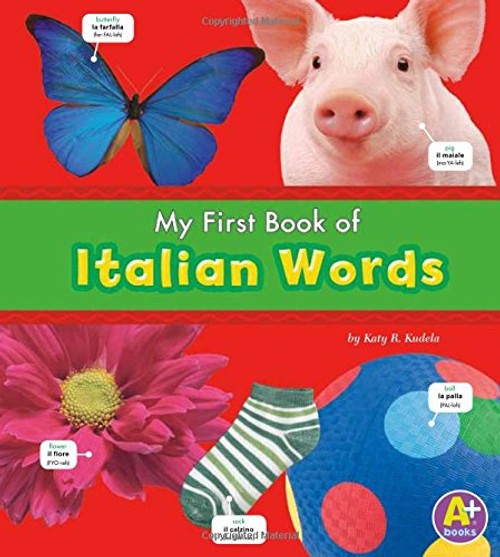 My First Book of Italian Words (Bilingual Picture Dictionaries) (Multilingual Edition)