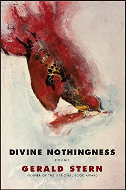 Divine Nothingness: Poems