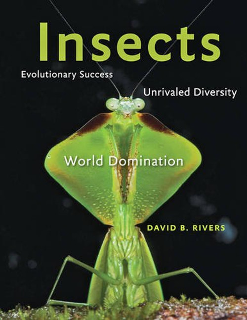 Insects: Evolutionary Success, Unrivaled Diversity, and World Domination