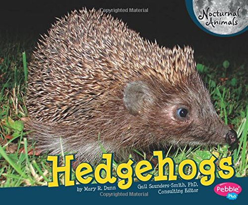 Hedgehogs (Nocturnal Animals)
