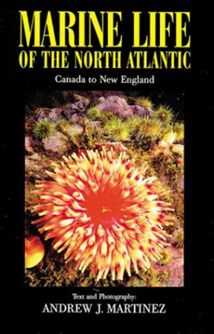 Marine Life of the North Atlantic: Canada to New England