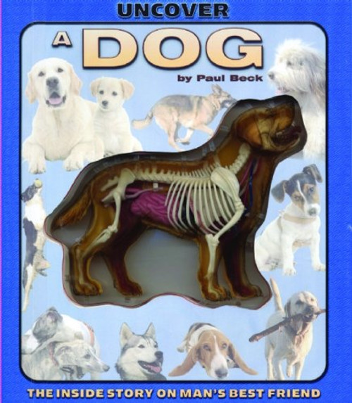 Uncover a Dog (Uncover Books)