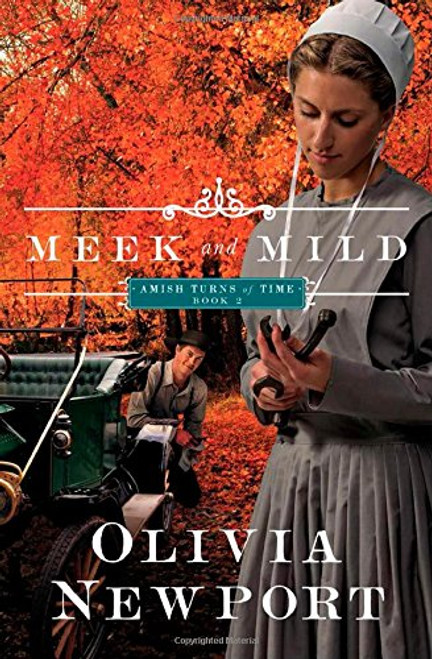 Meek and Mild: (Amish Turns of Time)