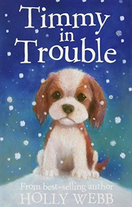 Holly Webb - Series 1 - Puppy and Kitten 10 Books Collection Set (Animal Stories - Pet Rescue Adventures - Books 1 to 10)