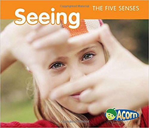 Seeing (The Five Senses)