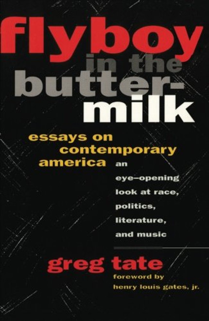 FLYBOY IN THE BUTTERMILK: ESSAYS ON CONTEMPORARY AMERICA