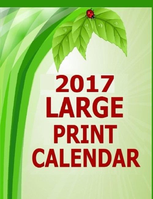 2017 Large Print Calendar: 14 Month Large Print Calendar for the Year 2017. Dated calendar with blank squares to write in for 2017. Starts in December 2016 and ends in January 2018