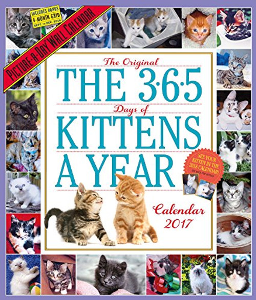 The 365 Kittens-A-Year Wall Calendar 2017