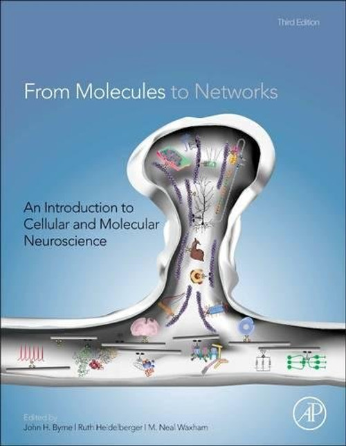 From Molecules to Networks, Third Edition: An Introduction to Cellular and Molecular Neuroscience