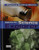 SCIENCE EXPLORER C2009 BOOK K STUDENT EDITION CHEMICAL BUILDING BLOCKS (Prentice Hall Science Explore)